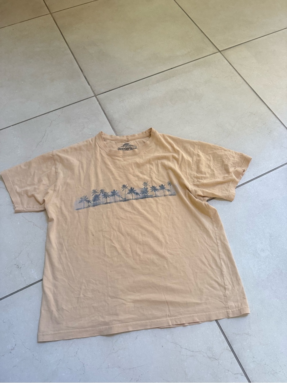Men's Palm Graphic Short Sleeve Tee - Beige